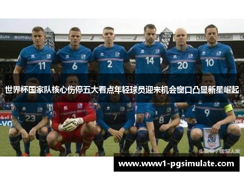 世界杯国家队核心伤停五大看点年轻球员迎来机会窗口凸显新星崛起
