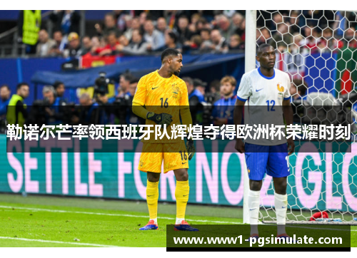 勒诺尔芒率领西班牙队辉煌夺得欧洲杯荣耀时刻