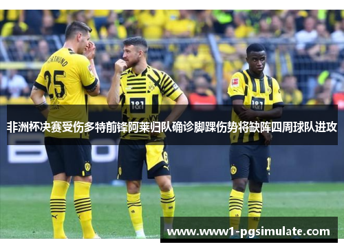 非洲杯决赛受伤多特前锋阿莱归队确诊脚踝伤势将缺阵四周球队进攻 非洲杯决赛受伤多特前锋阿莱归队确诊脚踝伤势将缺阵四周球队进攻