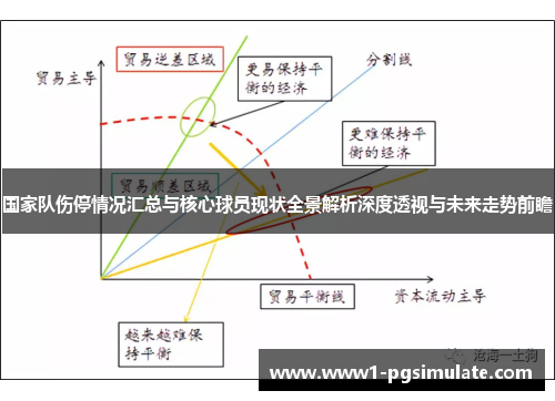 国家队伤停情况汇总与核心球员现状全景解析深度透视与未来走势前瞻